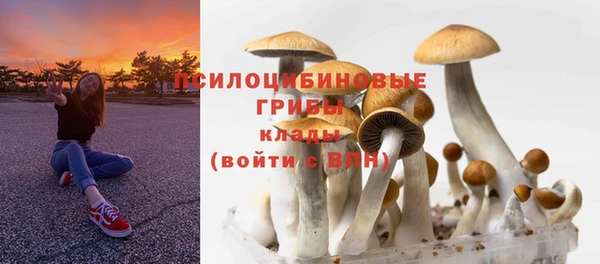 метадон Лагань