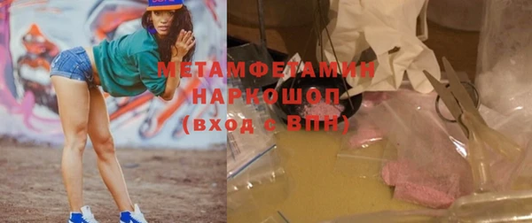 сатива Великий Новгород