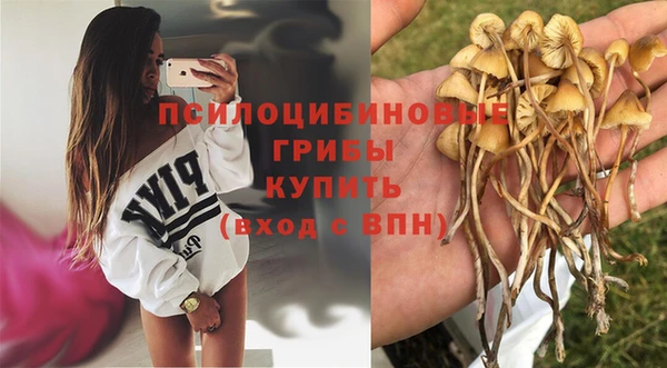 каннабис Кострома
