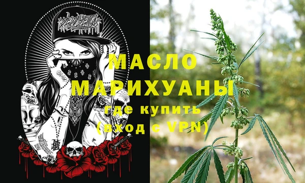 сатива Великий Новгород